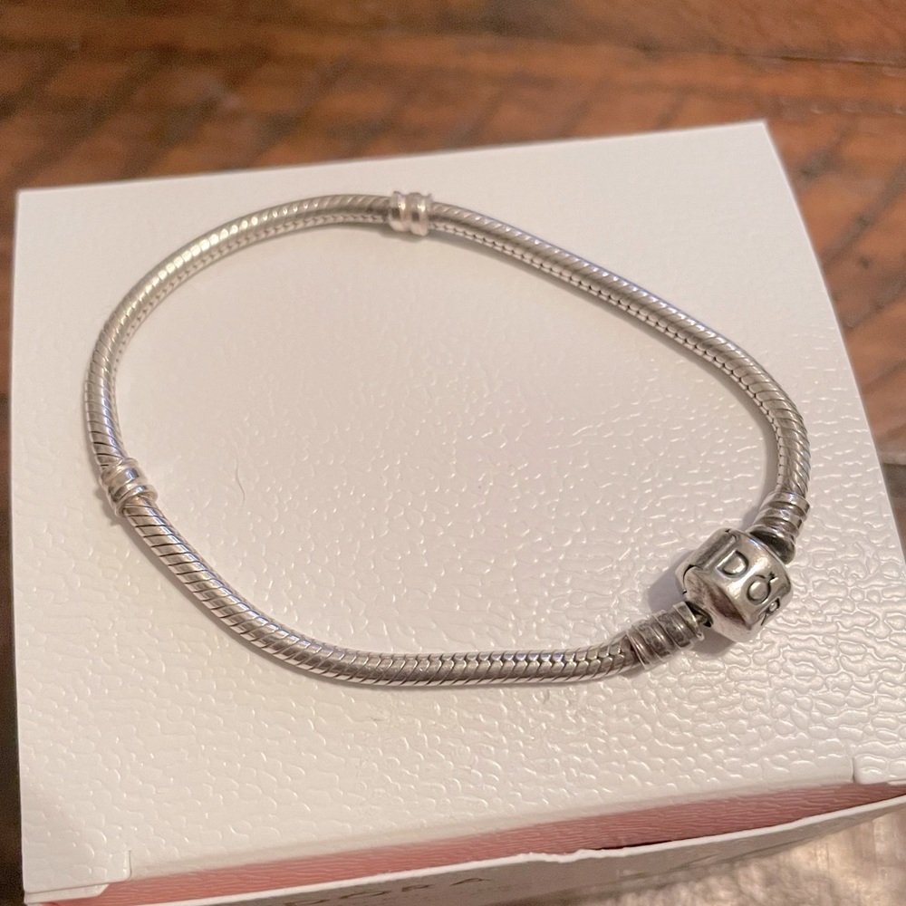 Pandora Moments Snake Bracelet